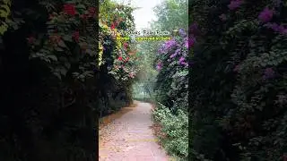 Top 5 Parks For Picnic 🧺 #picnic #park #delhi #picnicspot #travel #ytshorts #india