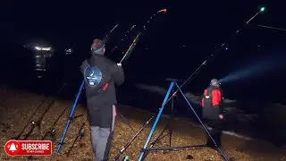 Все еще на бас-гитаре в Brambles