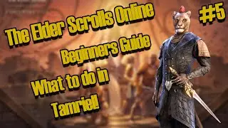 ESO: Beginners Guide - What to do in Tamriel! (Elder Scrolls Online)