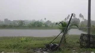 Anakod Factory / Rainy Season / Heavy Rain / Squall / Tropical Downpour