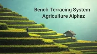 Farming on hill and Mountain || Bench Terracing System || Agriculture Alphaz