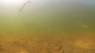 360&deg; Camera Drop at Dock 1 &ndash; Explore Underwater in Every Direction 🌊🐟