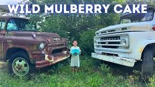 MULBERRY CAKE Junkyard Catch and Cook with WILD Mulberries!
