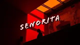 Camila Cabello & Shawn Mendes - Se&ntilde;orita | Piano Cover by Music Lah