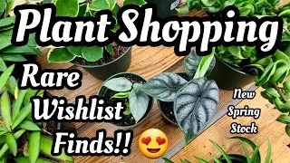 PLANT SHOPPING & GREENHOUSE TOUR || I Found RARE Wishlist Alocasia in Connecticut!! 😍