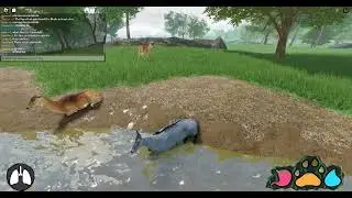 Roblox royal reserve nillgai herd