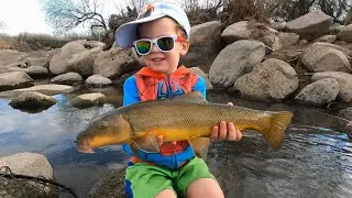 I Wasn’t Sure My Kids Were Ready for These Fish