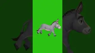 Donkey Running - Green Screen Action #greenscreen #animation #greenbackground