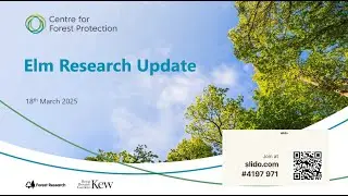 Centre for Forest Protection Webinar - Elm Research Update