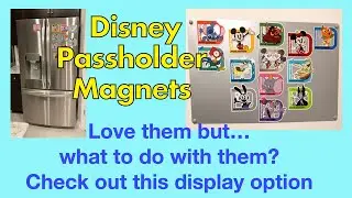 Disney Annual Passholder Magnet Display Board - Disney World - Magnet Display