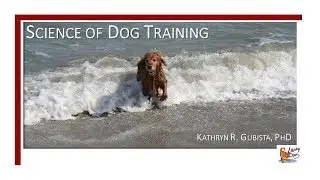 Science of Dog Training
