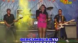NIRWANA - Aku Cemburu Voc. Rindhi Antika