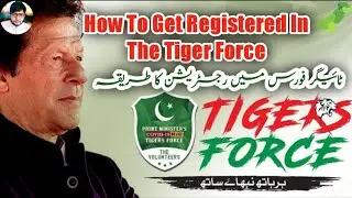 How To Get Registered In The Tiger Force | ٹائیگر فورس میں رجسٹریشن کا طریقہ