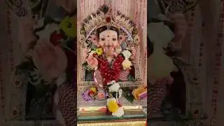 #majhabappa @PravinKoli #laddugopal#ganpatidecoration  #yt #trending #fyp @ISKCONKolhapur