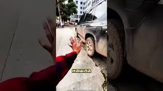 Голу находит странное существо 😂 #Catsoftiktok #CatLovers #cat #cute #FunnyCats #catcartoon #fyp