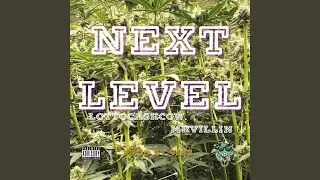 Next Level (feat. MRVILLIN)