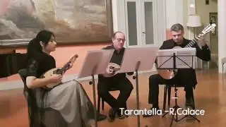 Tarantella -R.Calace /