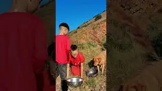 Моя деревенская жизнь. Кто не любит умную собаку? #2