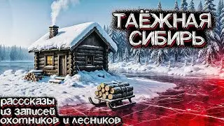 Сибирская ТАЙГА   очень ЖУТКОЕ место    Рассказы охотников и лесников   Страшные истории на ночь