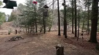 MFCD The Sounds of Nature In 4k At The Bird Feeders