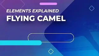 Flying Camel - Elements Explained | #FigureSkating