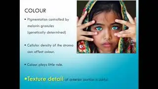 How Iris Recognition Works