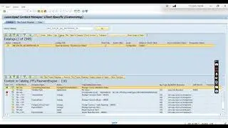 Custom business roles   task list SAP FIORI FCM CONTENT ACTIVATION