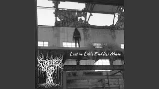 Lost in Life's Endless Maze