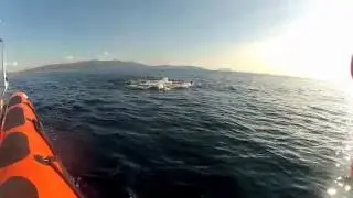Gibraltar Swim Video