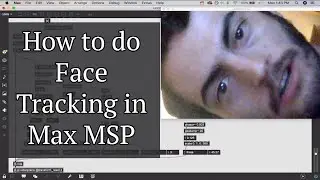 How to do Face Tracking in Max MSP