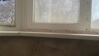 челедж по идиотски
