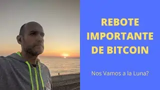 Rebote de Bitcoin. Fin del invierno?