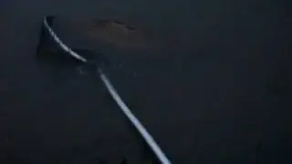 Double Hookup On Redtails Catfish & 16kg Redtail tiger. PART 3