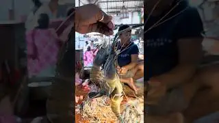 Big Giant shrimp 🦐 Fish Cutting Live In Fish Market | Big Fish shrimp Cutting Skills in India