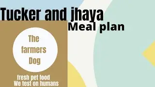 Farmer's Dog Review Update & Order l Tucker's & Jhaya's Meal Plans l Plus Their DIY Option