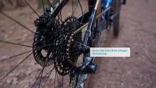 LEADER FOX Ayra LTD (Panasonic GX Ultimate-720Wh) 29 Zoll E-MTB Fully