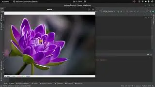 How To Read, Display and Write An Image Using OpenCV In Python