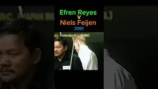🐯 EFFICIENT PLAY by Efren Reyes against Niels Feijen