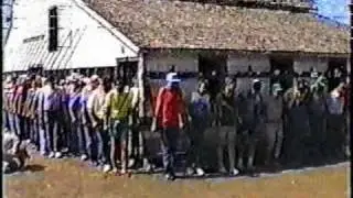 Bruno Barn Move