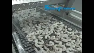 IQF spiral for freezing shrimp meat