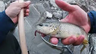 P&ecirc;che aux app&acirc;ts naturels en torrent de montagne