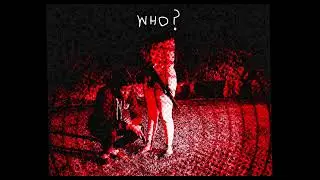 SamDan - Who [Official Audio]
