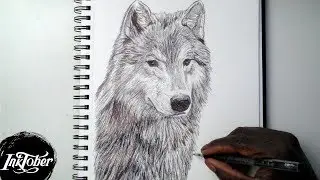 WOLF PEN DRAWING - INKTOBER DAY 19