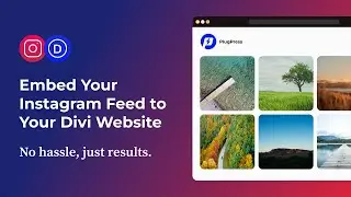 Embed Your Instagram Feed to Your Divi Website (Easy Way) | Divi Instagram Feed Pro