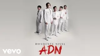 Diferente Nivel - Un Gran Líder (Cover Audio)