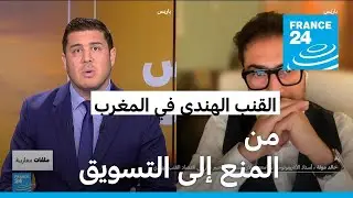 النبض المغاربي: القنب الهندي في المغرب.. من المنع إلى التسويق