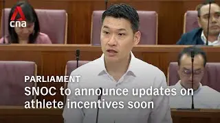 Acting Minister for Culture, Community and Youth David Neo on support, funding for national athletes