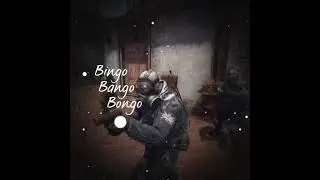 Bingo bango bongo