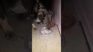 Dantu nesiepk ir svetimo neliesk😃