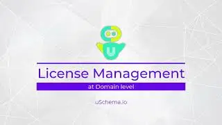 uSchema License Management at Domain Level